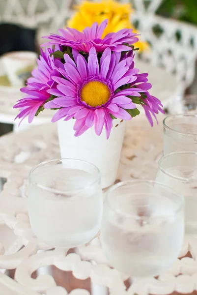 Färgstark blomma i kaféet. — Stockfoto