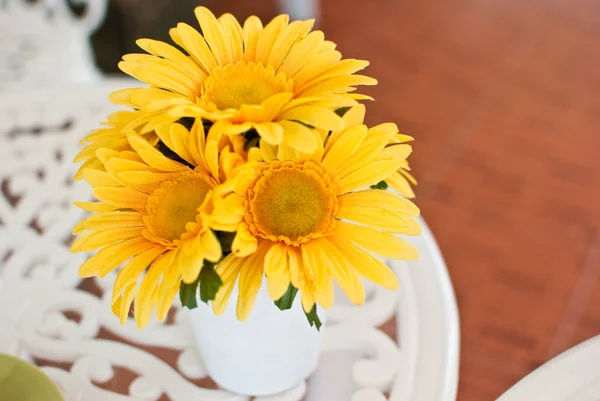 Bunte Blume im Café. — Stockfoto
