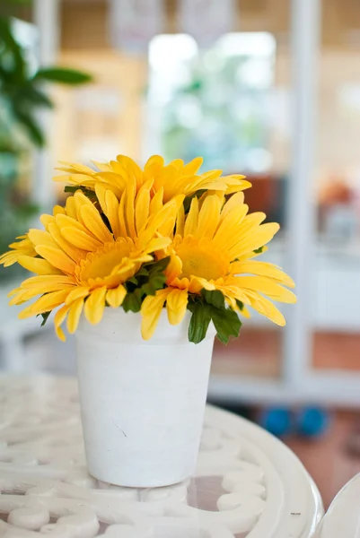 Schoonheid gele bloem — Stockfoto