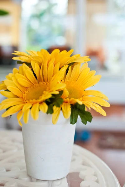 Schönheit gelbe Blume — Stockfoto