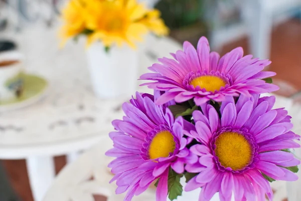 Flor colorida no café . — Fotografia de Stock