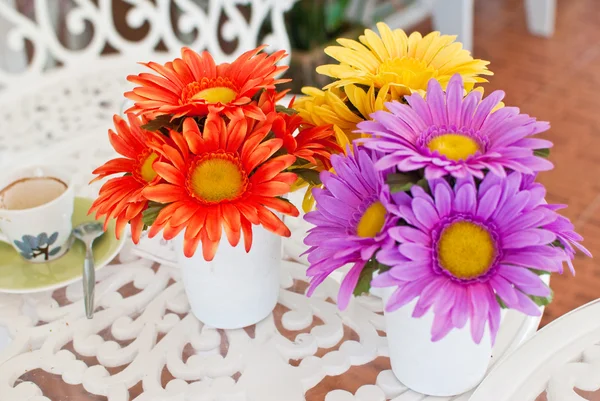 Färgstark blomma i kaféet. — Stockfoto