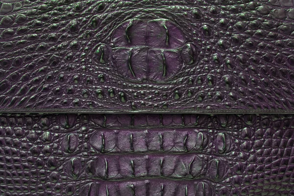 Freshwater crocodile bone skin on cover bag — Stock Photo, Image