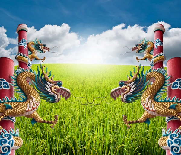 Fyra dragon staty med fältet blå himmel. — Stockfoto
