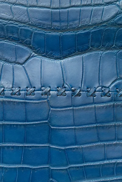 Krokodyl brzuch skóra tekstura tło. — Zdjęcie stockowe