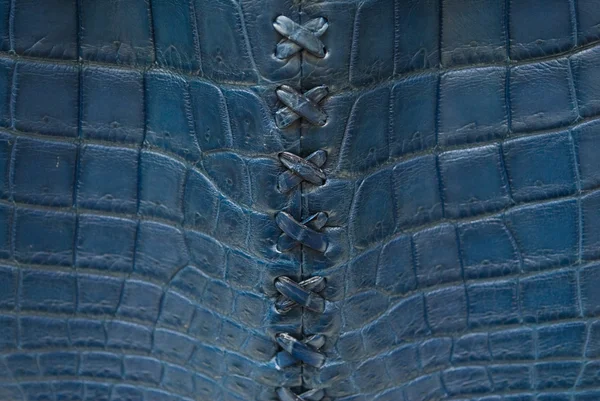 Пресноводный крокодил на фоне текстуры кожи живота . — стоковое фото