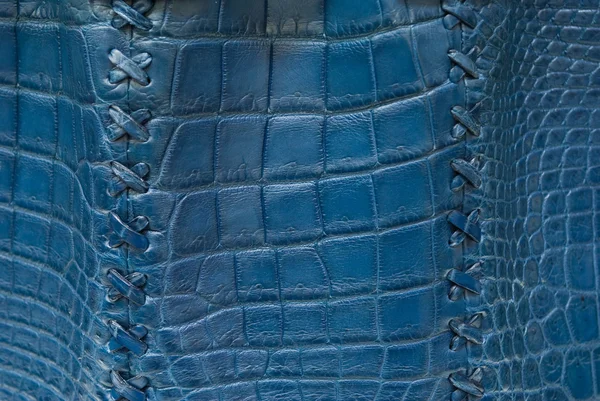 Süßwasser Krokodilbauch Haut Textur Hintergrund. — Stockfoto
