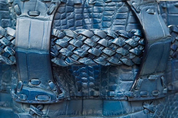 Detalhe da bolsa de crocodilo . — Fotografia de Stock