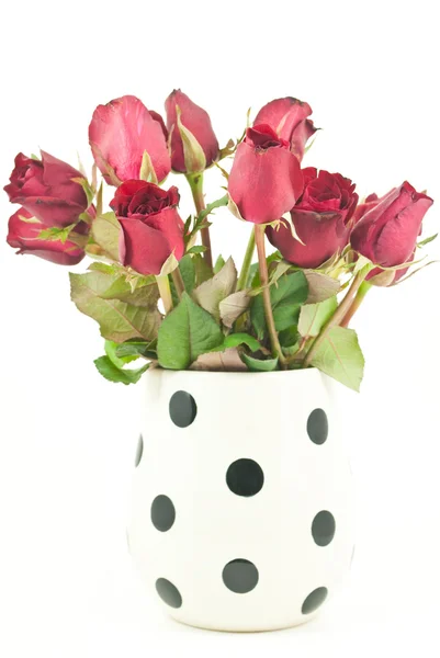 在白色背景上孤立的罐子里的红玫瑰 — 图库照片