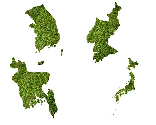 Birçok Dünya Haritası ile çim sahası — Stok fotoğraf