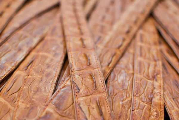 Freshwater crocodile bone belt skin texture background — Stock Photo, Image
