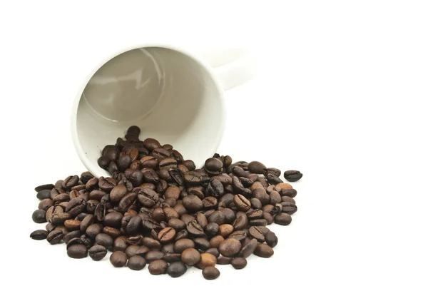 Kávová zrna a šálek kávy — Stock fotografie