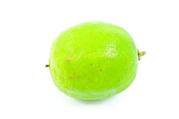 Limão verde bruto isolado no fundo branco . — Fotografia de Stock