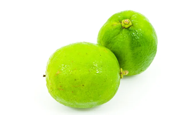 Limão verde bruto isolado no fundo branco . — Fotografia de Stock