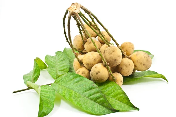 Longkong ovoce izolovaných na bílém s zelený list. — Stock fotografie