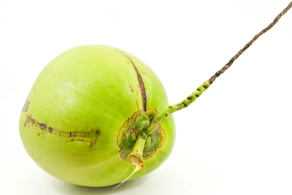 Groene kokosnoot geïsoleerd op de witte achtergrond. — Stockfoto