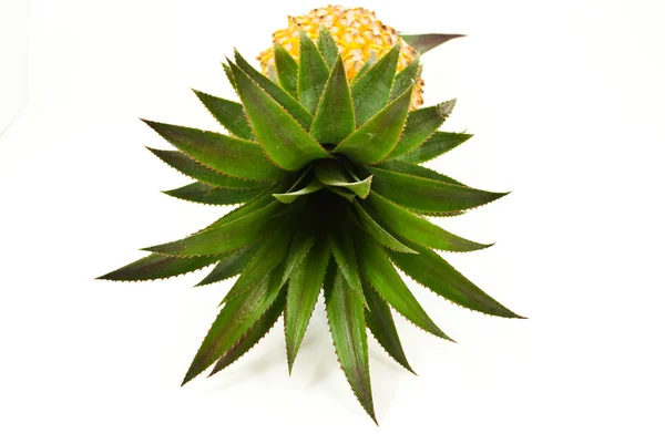 Pineapple isolated on the white. — Stock Photo, Image