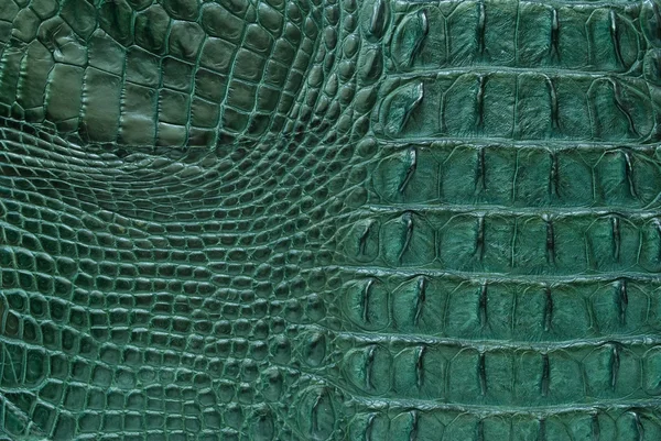 绿色淡水鳄鱼骨皮肤纹理背景. — 图库照片