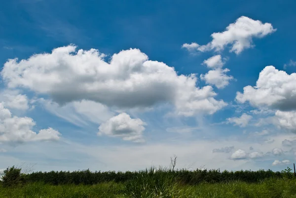 stock image Clouds on the blue sky with the grass field.