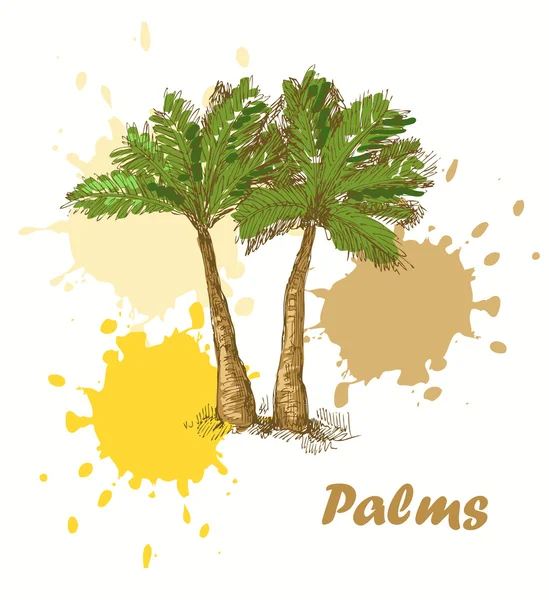 Palms bakgrund — Stock vektor