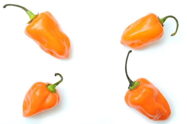 Ot peppers pattern — Stock Photo, Image