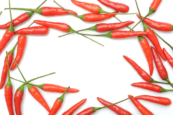Red chili picante fronteira pimentas — Fotografia de Stock