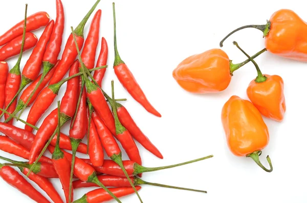 Dois tipos de pimentas quentes — Fotografia de Stock