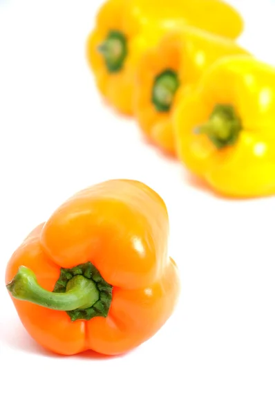 Πολύχρωμες πιπεριές — Φωτογραφία Αρχείου