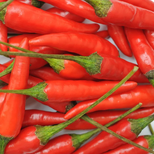 Red hot chili peppers background — Stock Photo, Image