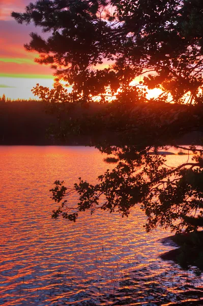 Sunrise on lake — Stock Photo, Image