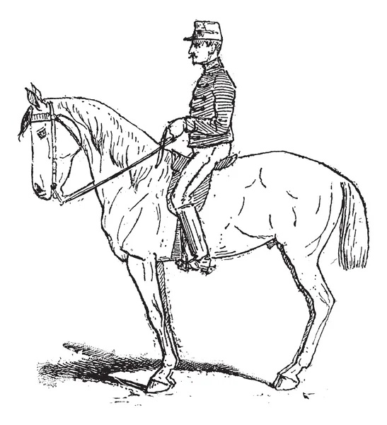 Rassembler, azt jelentette, hogy növeljék a mobilitás, a ló gyakorlat — Stock Vector