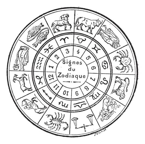 Signos del zodíaco, grabado vintage . — Vector de stock
