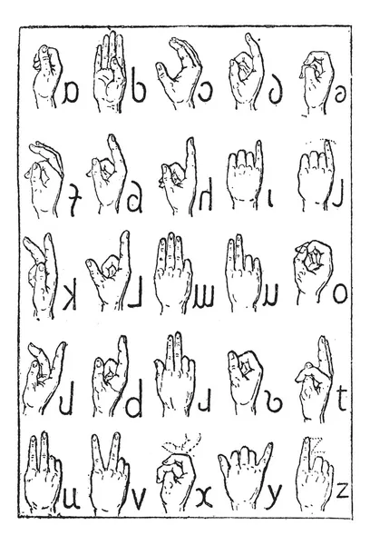 Alphabet des sourds-muets, gravure vintage . — Image vectorielle