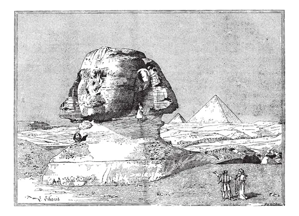 Sphinx, near the ruins of Memphis, Egypt, vintage engraving. — Stock Vector