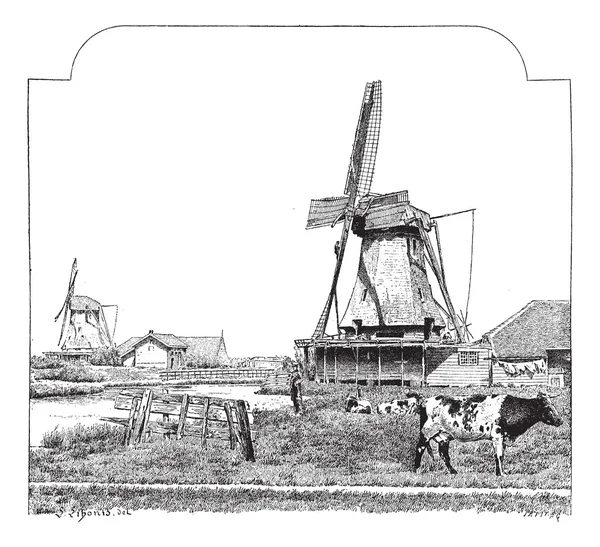 Moulins, Zaandam (Hollande), gravure vintage . — Image vectorielle