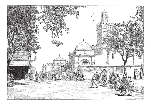 Улица Великой мечети, Тлемсен, Алжир, винтажная гравировка . — стоковый вектор
