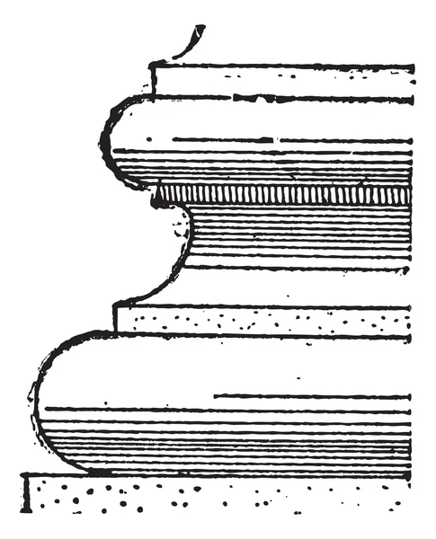 Torus, винтажная гравировка — стоковый вектор