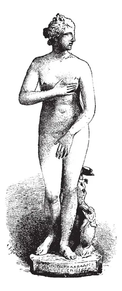 Vénus des Médicis ou Vénus des Médicis, gravure vintage . — Image vectorielle