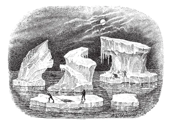 Icebergs, gravura vintage . — Vetor de Stock