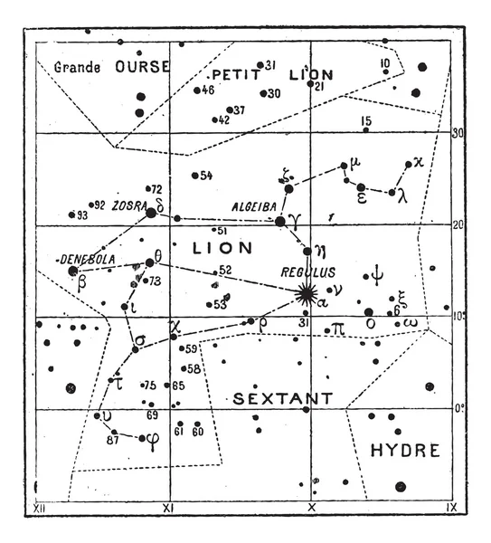 Созвездие Льва, винтажная гравировка — стоковый вектор