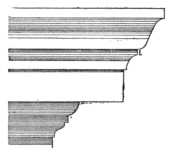 Annulet of listel of filets, vintage gravure — Stockvector