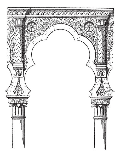 Lobe, vintage engraving