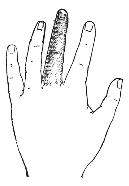 Средний палец человека, винтажная гравировка — стоковый вектор