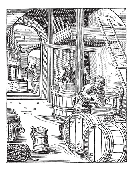 Tři Sládek vinobraní gravírování — Stockový vektor