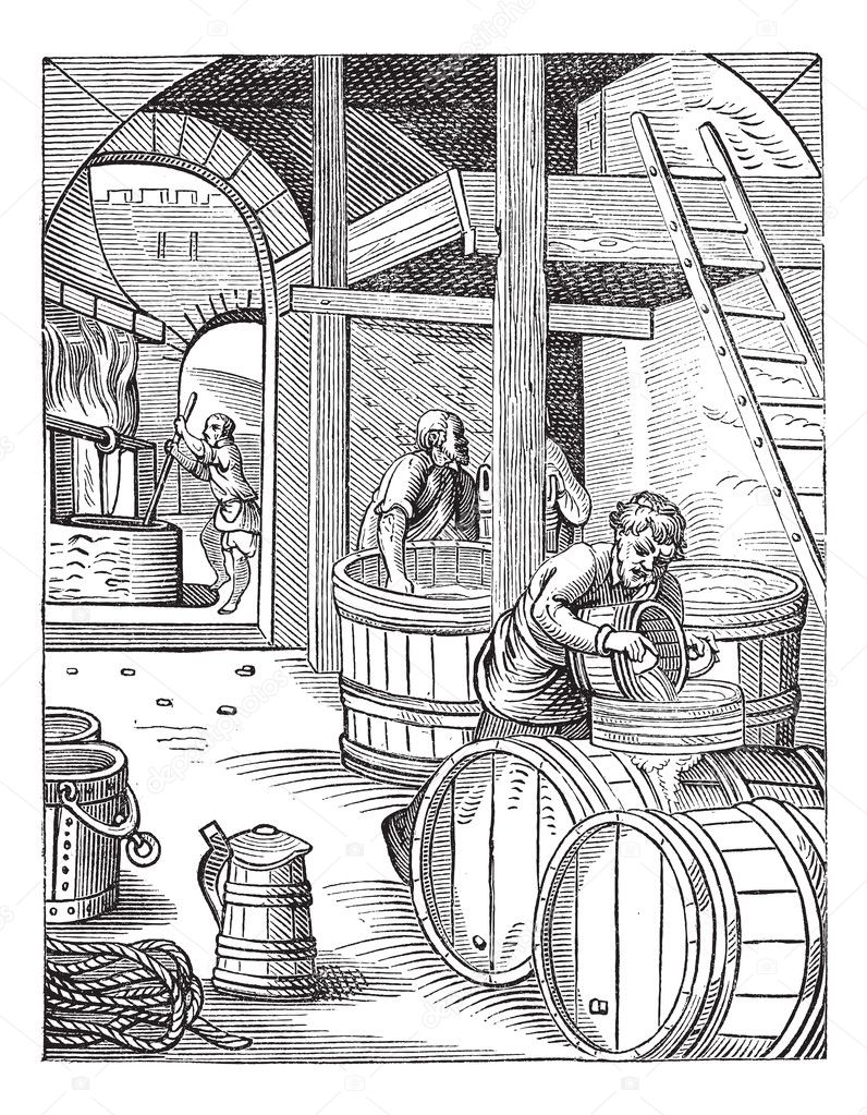 Three Brewer vintage engraving
