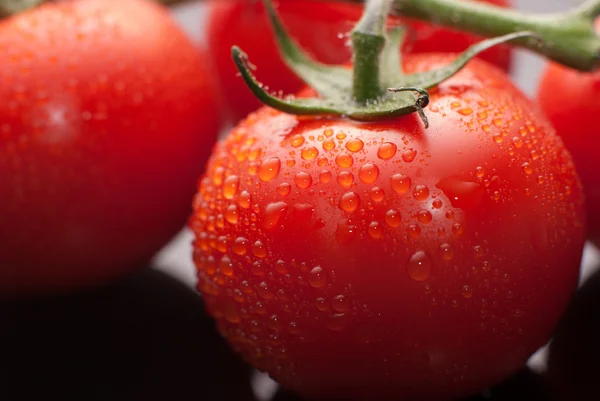 stock image Perfect fresh red wet tomatoes