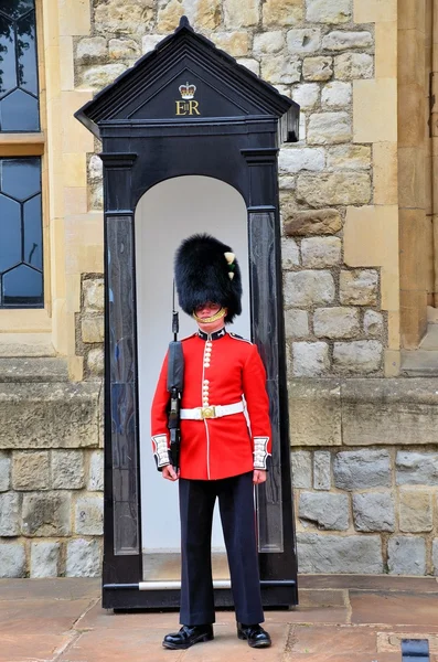Queen's guard — Stock Photo, Image