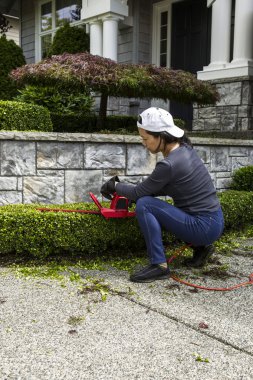Yard Work at Home clipart