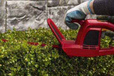 Power Hedger Trimming Hedges clipart