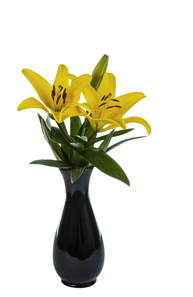 Sárga Tiger liliom virágok teljes virágzás, vázában — Stock Fotó